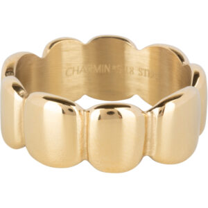 Charmins Goudkleurige Brede Stalen Ring Gladde Ovale R1393